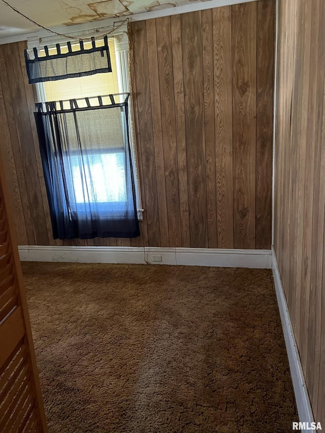 carpeted empty room with wooden walls