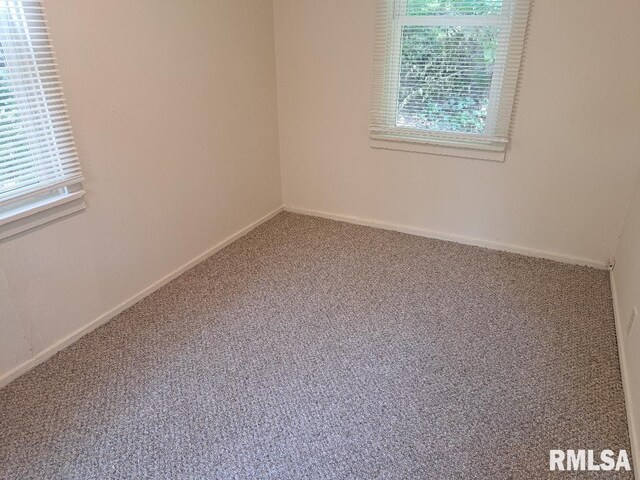 carpeted spare room with a wealth of natural light