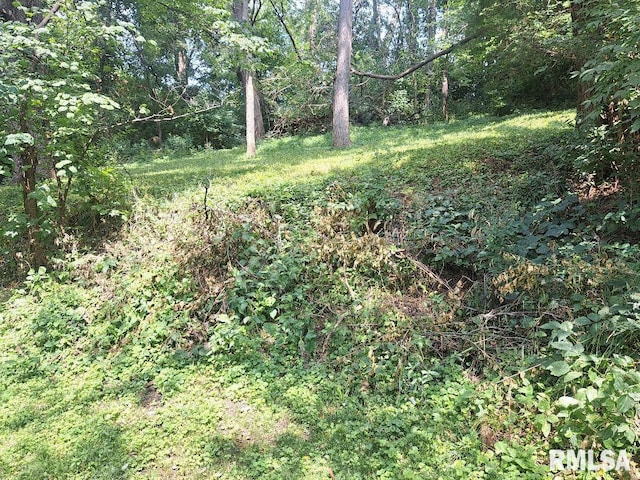 view of nature with a forest view