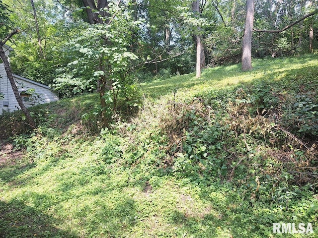 view of yard featuring a wooded view