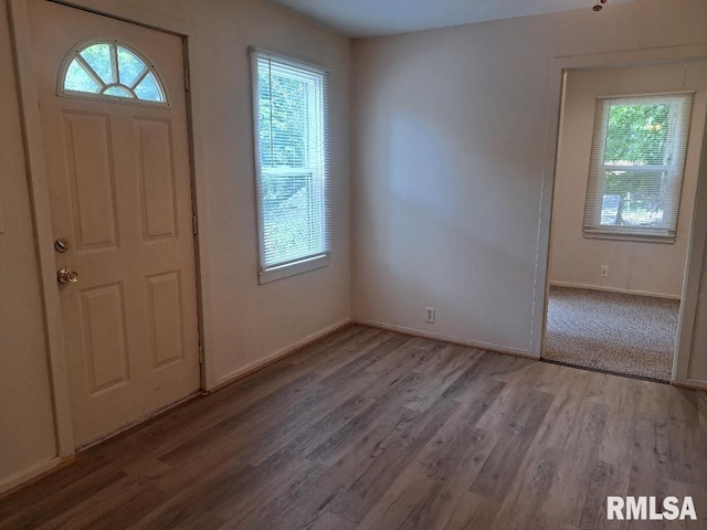 foyer with baseboards and wood finished floors