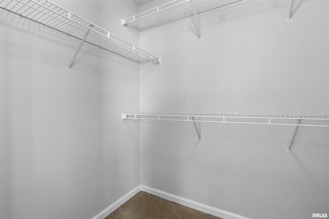 walk in closet with carpet