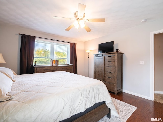 bedroom featuring a barn door, ceiling fan, and dark hardwood / wood-style floors