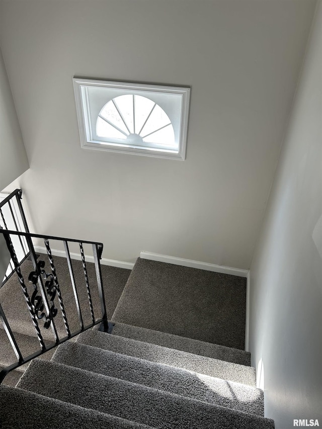 stairway with carpet