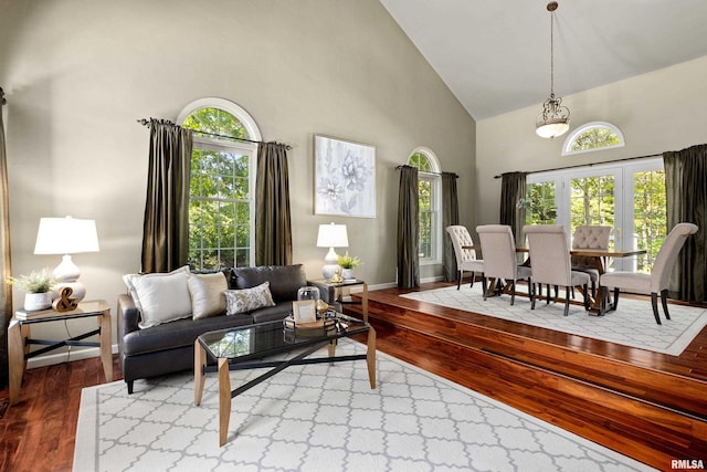 living room featuring high vaulted ceiling and hardwood / wood-style flooring