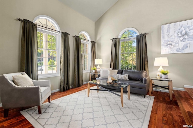 living room featuring high vaulted ceiling and hardwood / wood-style floors