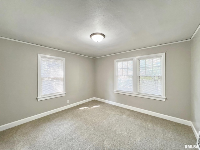 unfurnished room with a textured ceiling, carpet flooring, and crown molding