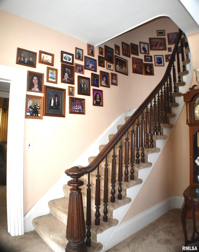 staircase with carpet flooring