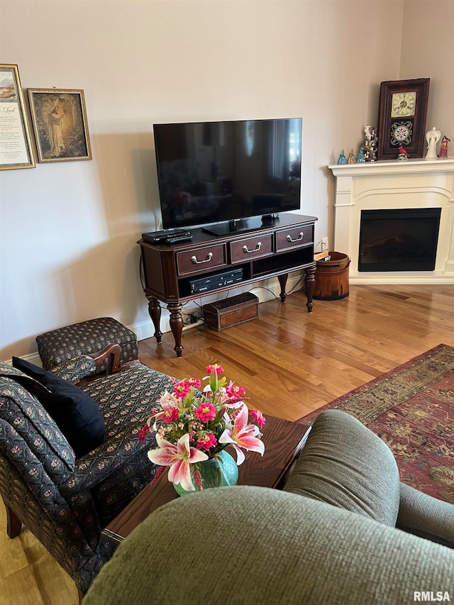 living room with hardwood / wood-style flooring