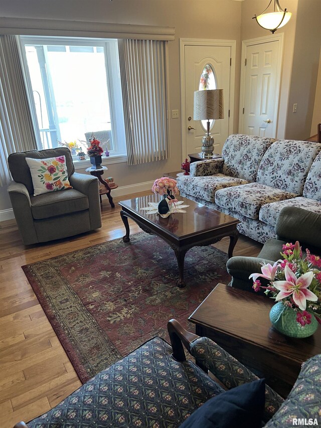 living room featuring hardwood / wood-style flooring