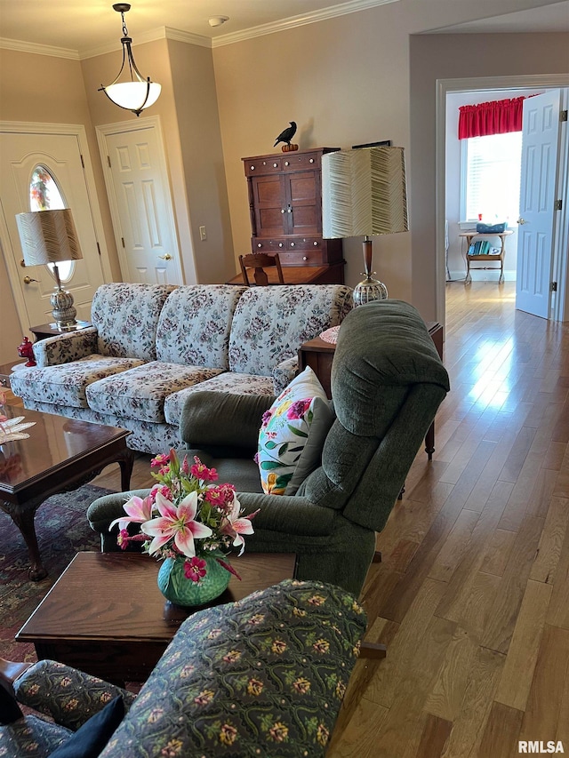 living room featuring ornamental molding and hardwood / wood-style flooring