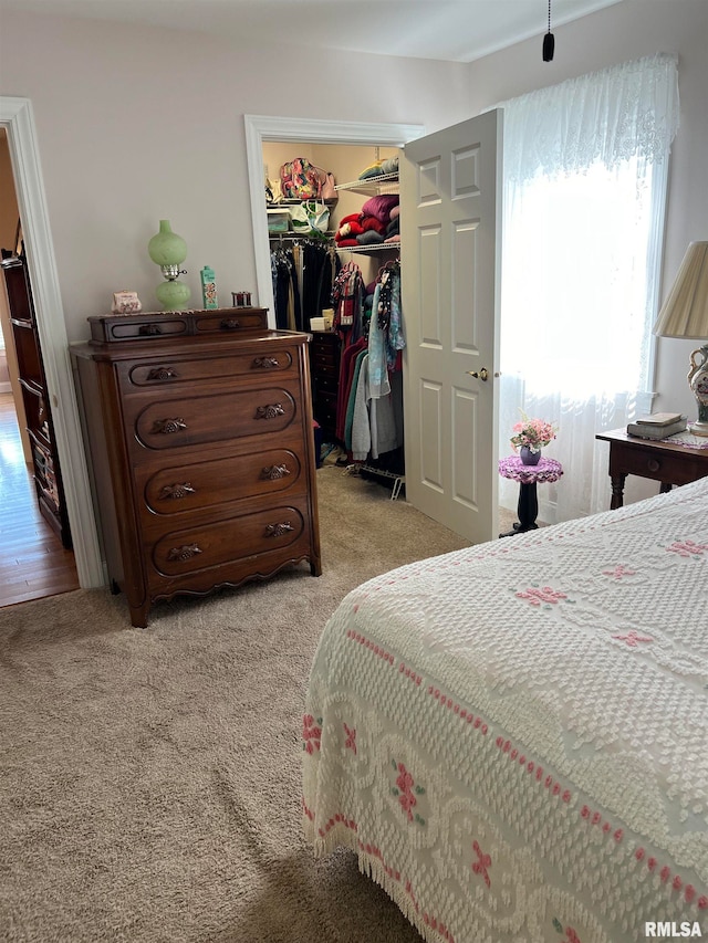 carpeted bedroom with a spacious closet and a closet