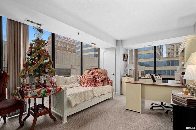 125 SW Jefferson St Unit W-5C, Peoria, IL 61602 - carpeted bedroom featuring an office area