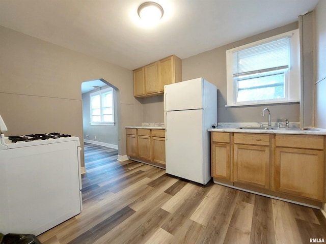 kitchen featuring white appliances, light hardwood / wood-style floors, and sink