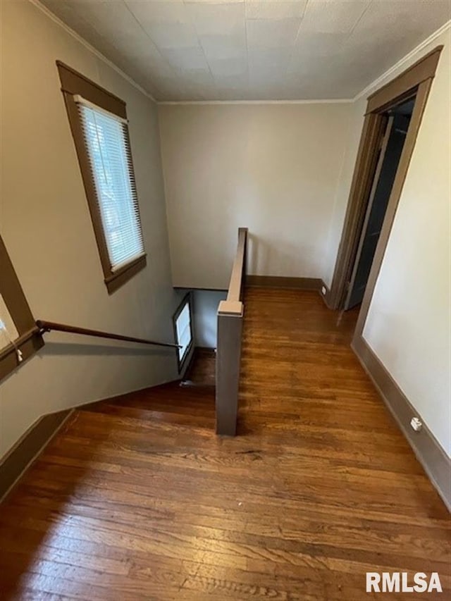 bathroom featuring walk in shower, tile walls, vanity, and toilet