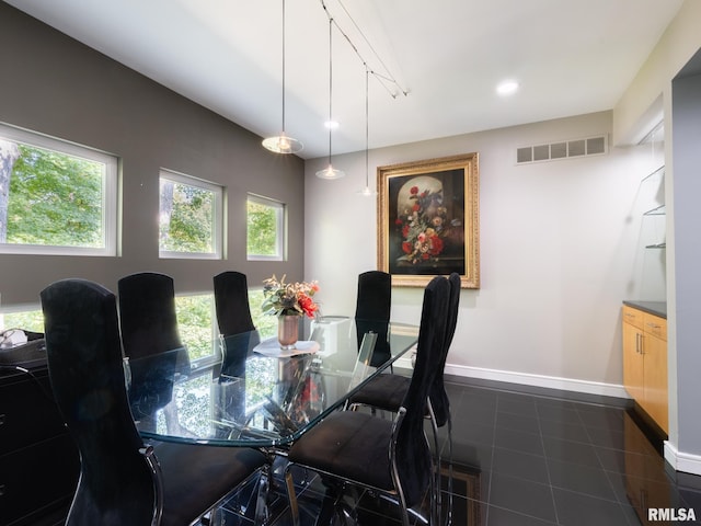 dining room with a wealth of natural light