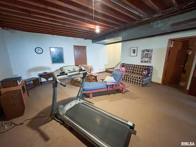 exercise room featuring carpet flooring