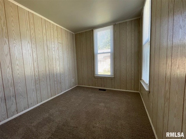 carpeted spare room featuring wood walls