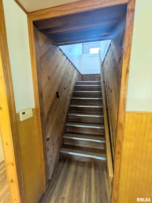 stairs with wood walls and hardwood / wood-style flooring