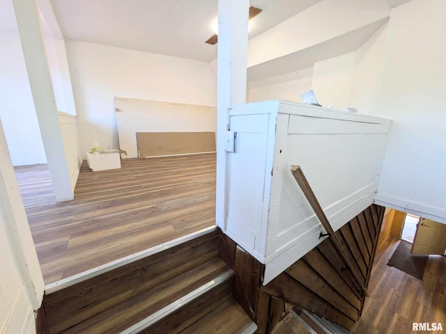 staircase with hardwood / wood-style flooring