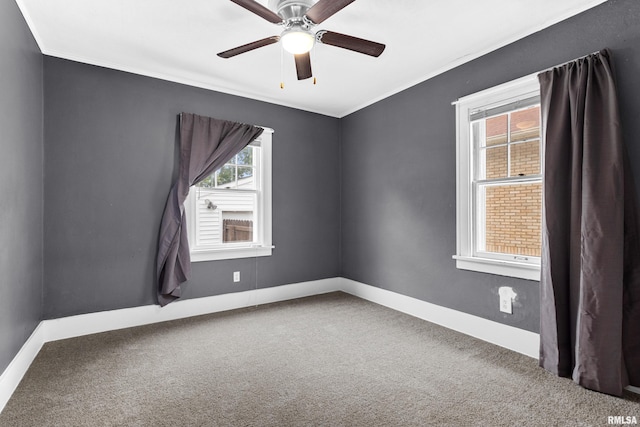 empty room featuring ceiling fan, carpet flooring, and crown molding