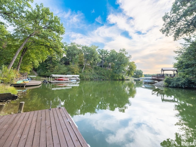 dock area with a water view