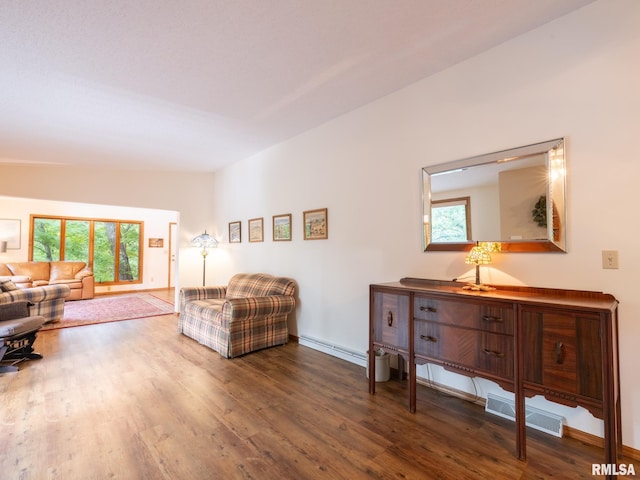 living area with a baseboard radiator, a wealth of natural light, vaulted ceiling, and hardwood / wood-style floors