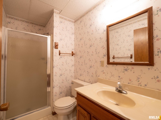 bathroom with vanity, an enclosed shower, and toilet