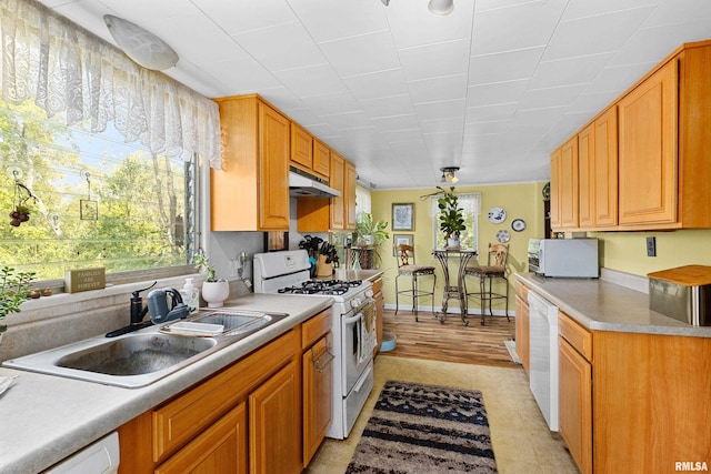 kitchen featuring white appliances, sink, ceiling fan, and light hardwood / wood-style flooring