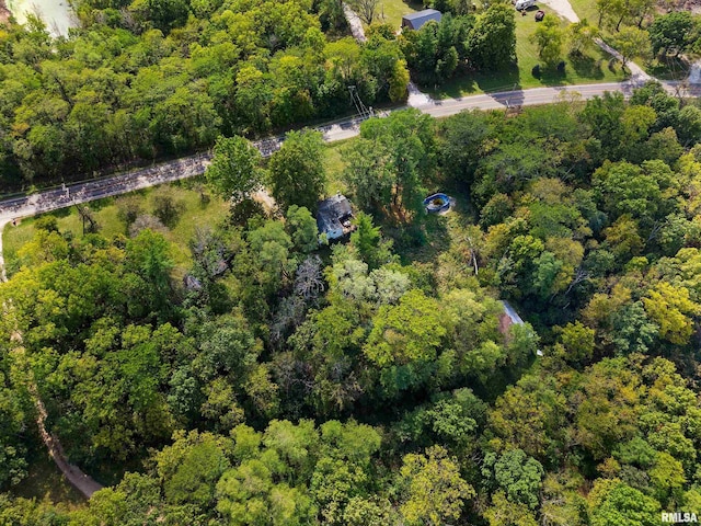 913 E Truitt Ave, Chillicothe, IL 61523 - bird's eye view featuring a view of trees