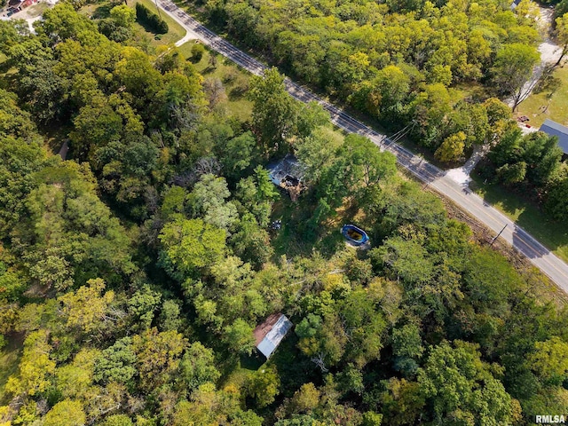 913 E Truitt Ave, Chillicothe, IL 61523 - bird's eye view with a view of trees