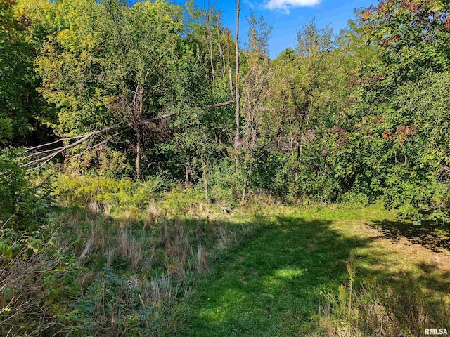 913 E Truitt Ave, Chillicothe, IL 61523 - view of local wilderness with a view of trees