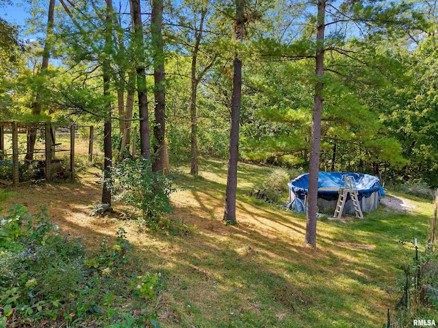 913 E Truitt Ave, Chillicothe, IL 61523 - view of yard with a covered pool