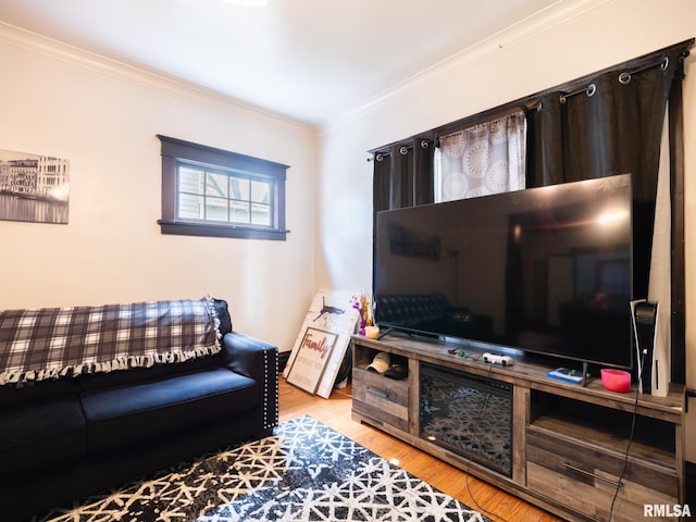 living room with light hardwood / wood-style flooring and ornamental molding