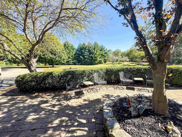 view of yard featuring a patio