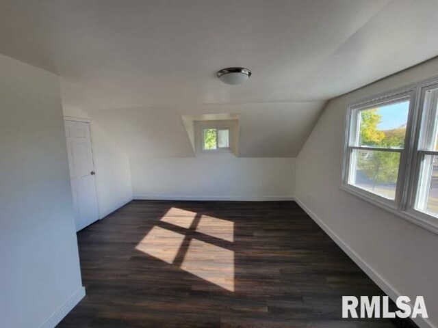 bathroom with hardwood / wood-style flooring, vanity, and toilet