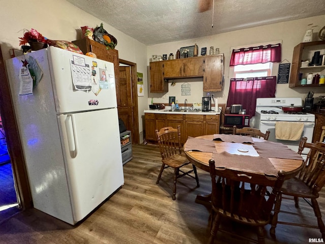 kitchen featuring white appliances, a textured ceiling, hardwood / wood-style flooring, and sink