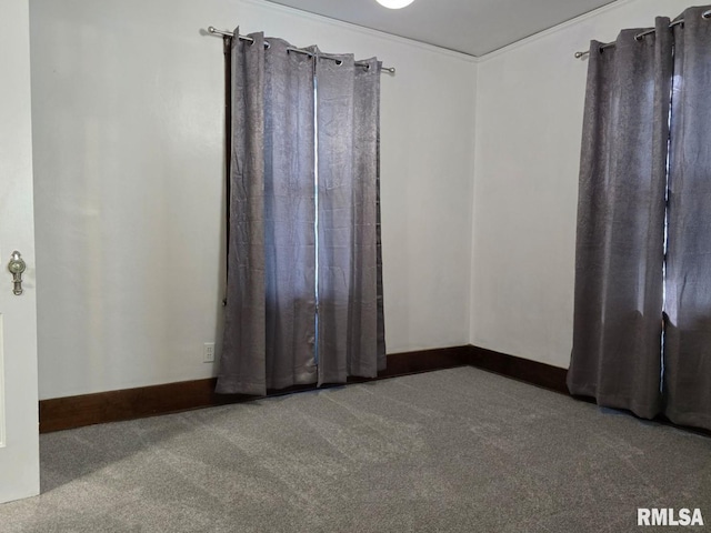 spare room with carpet