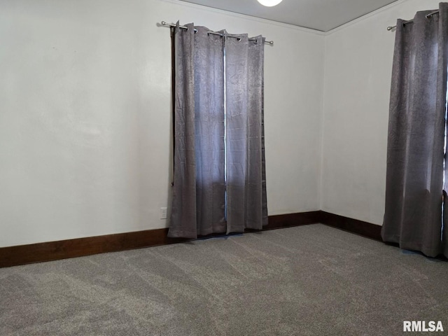 unfurnished room featuring carpet