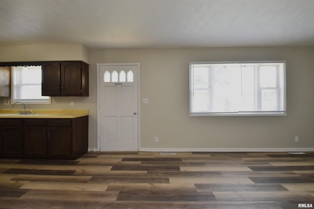 kitchen with dark brown cabinets, dark hardwood / wood-style flooring, plenty of natural light, and sink