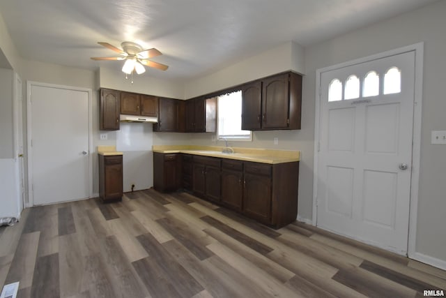 kitchen with hardwood / wood-style flooring, dark brown cabinets, ceiling fan, and sink