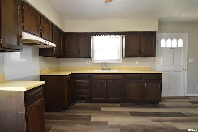 kitchen featuring dark hardwood / wood-style flooring, sink, and dark brown cabinets