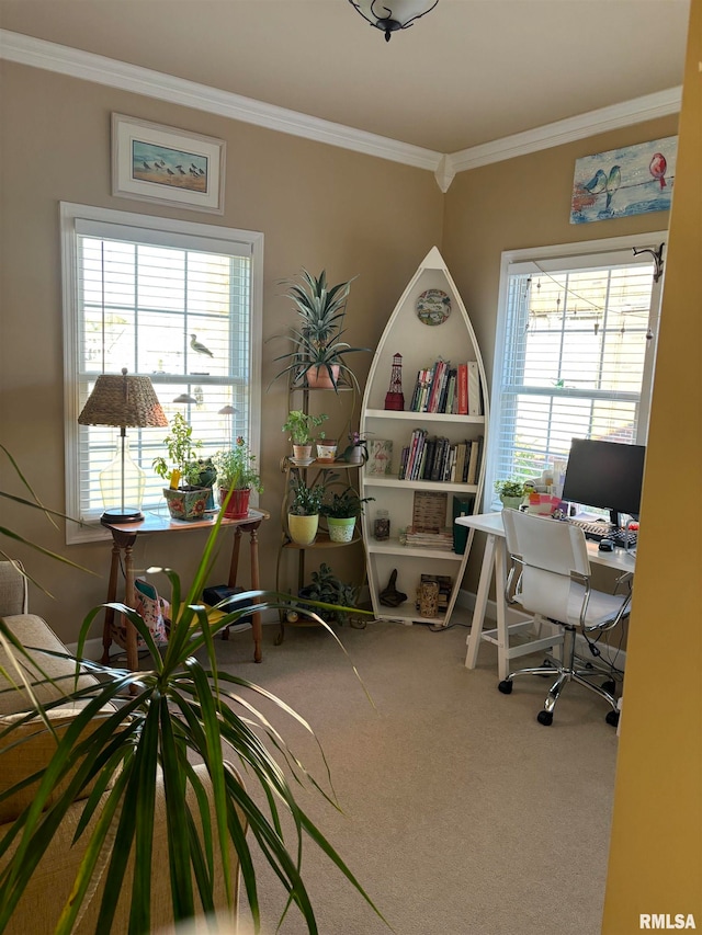 office space with carpet floors, crown molding, and a wealth of natural light