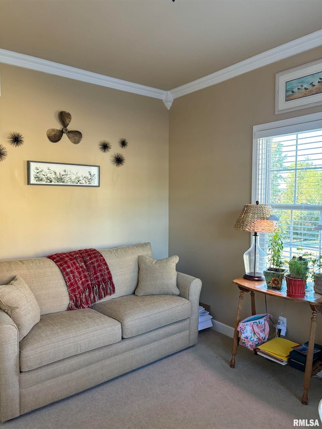 living room featuring carpet floors and crown molding