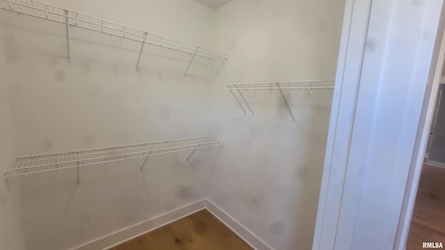 spacious closet featuring hardwood / wood-style flooring