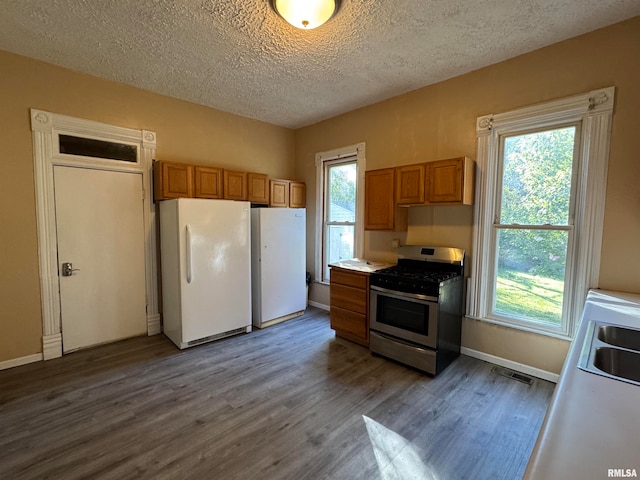 kitchen featuring white fridge, a wealth of natural light, and stainless steel gas range