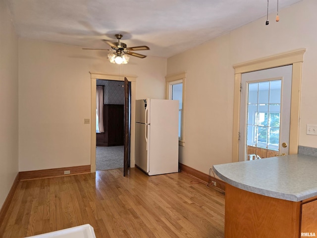 kitchen featuring light hardwood / wood-style floors, white fridge, and ceiling fan