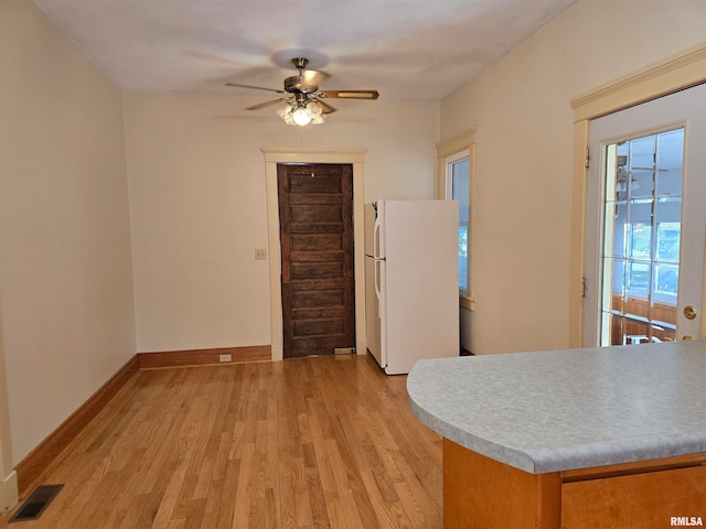 interior space featuring white fridge, ceiling fan, and light wood-type flooring