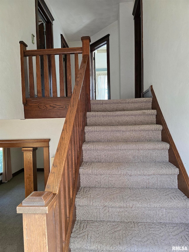 stairs with carpet floors