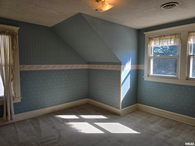 additional living space featuring carpet flooring, a textured ceiling, and vaulted ceiling